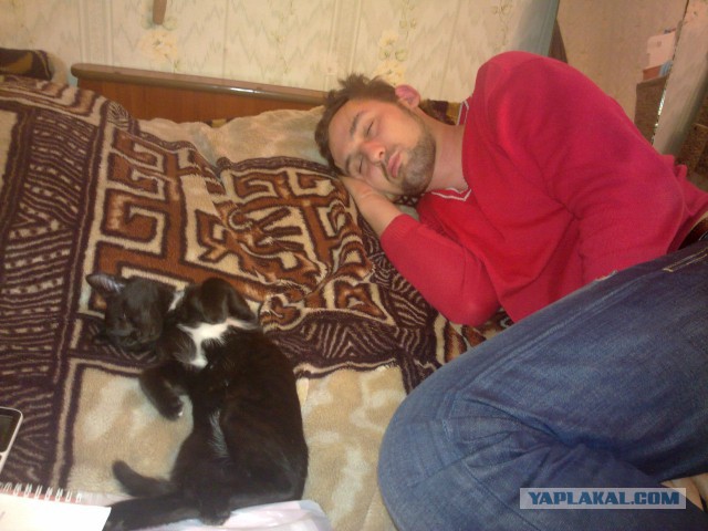 Котовторник 24.03.2015