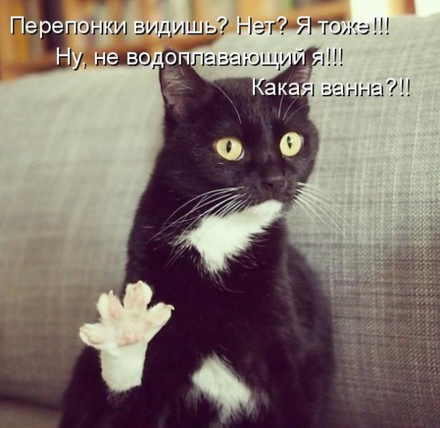 Весёлости