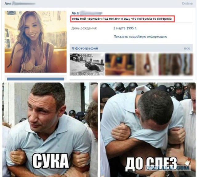 Лучшие картинки из ВК