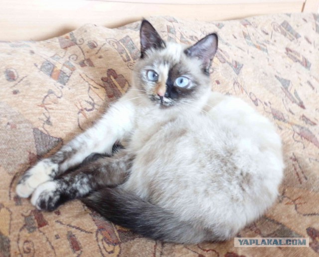 Мужики, пришло наше время!