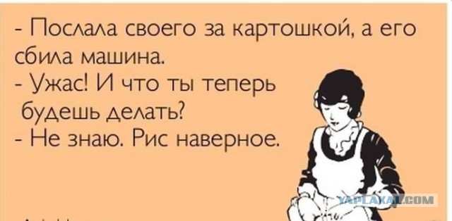 Подборка картинок из сети