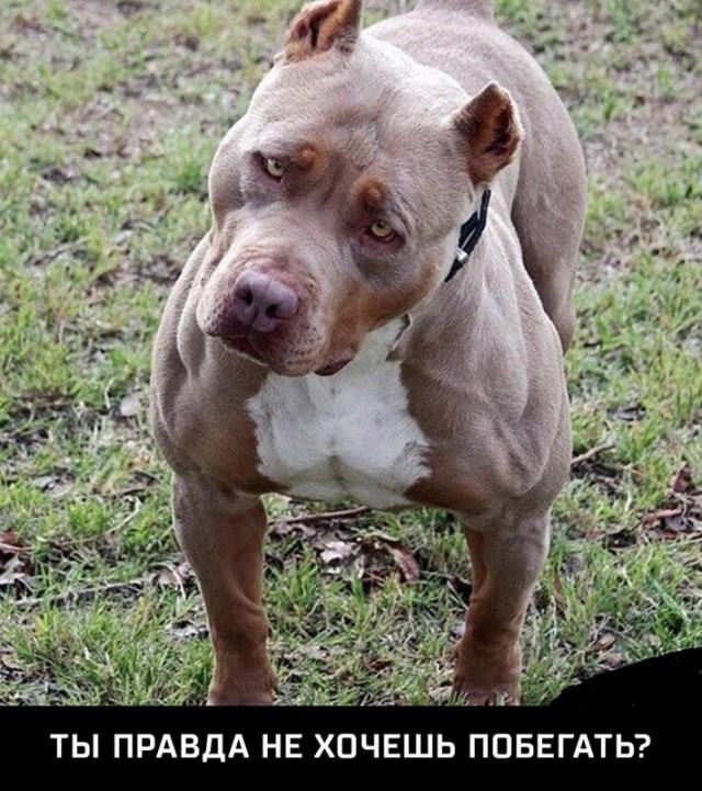 Подборка картинок