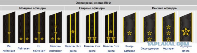 Как «украинских патриотов» жаба задавила