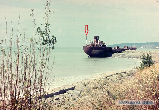 Очередная премия Дарвина