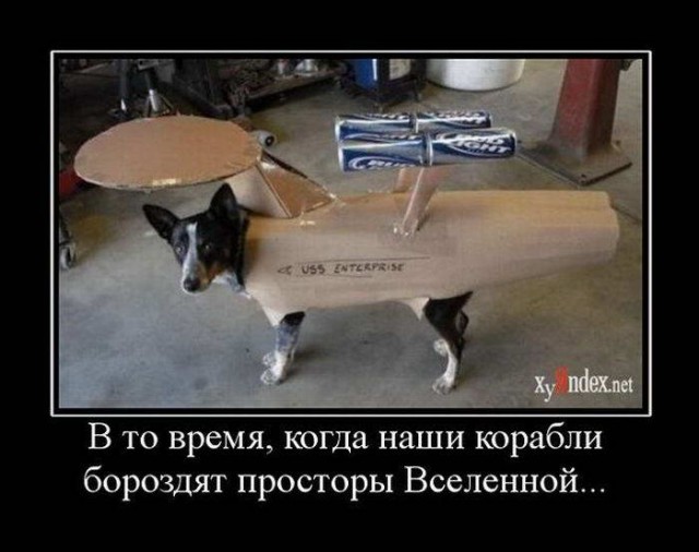 Демотиваторы