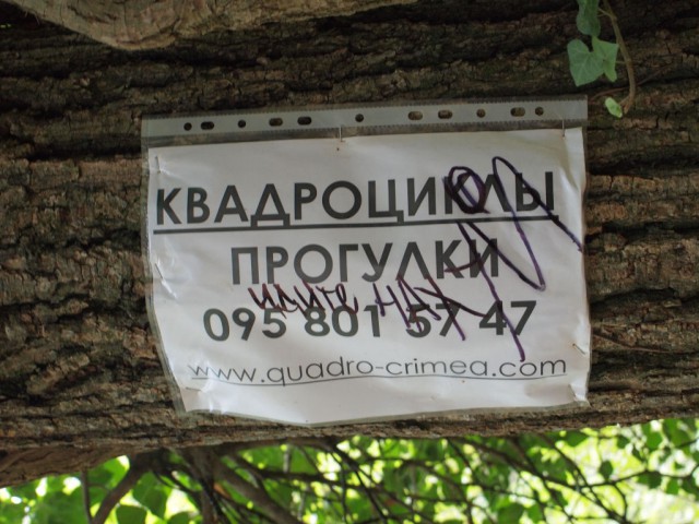 Зимний Крым