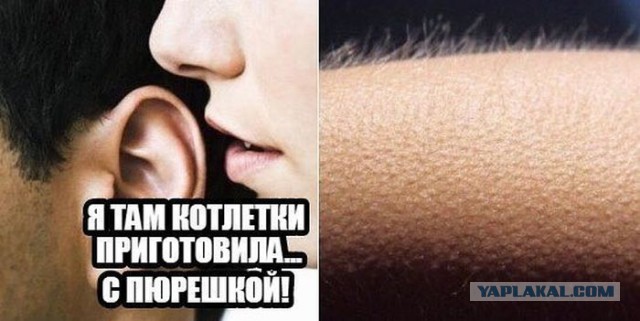 Подборка картинок