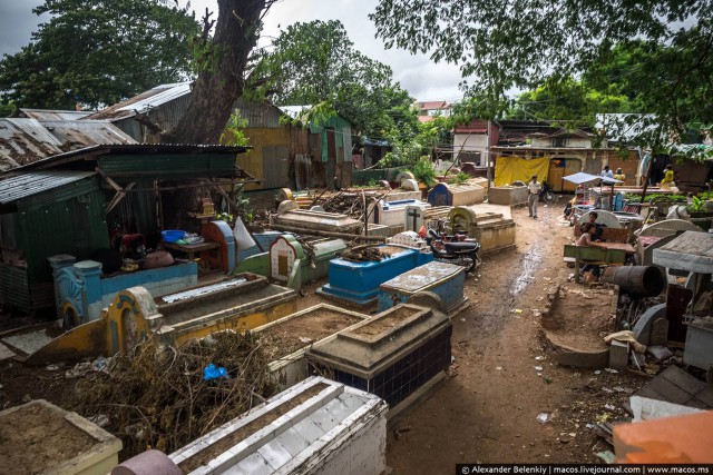 Кладбищенская принцесса: история девушки, живущей среди могил