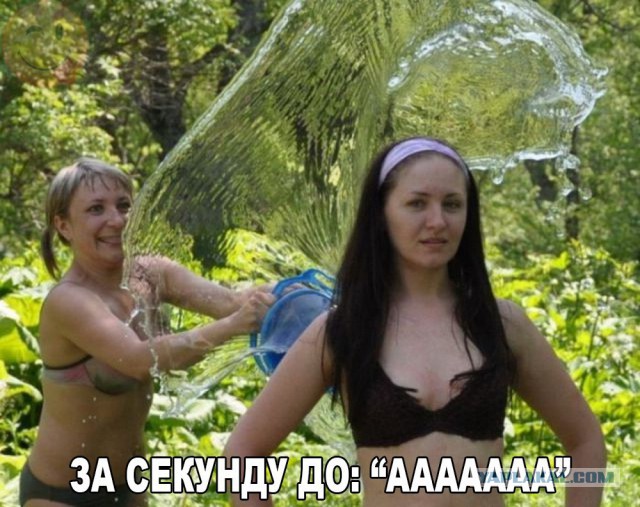Подборка интересных и веселых картинок
