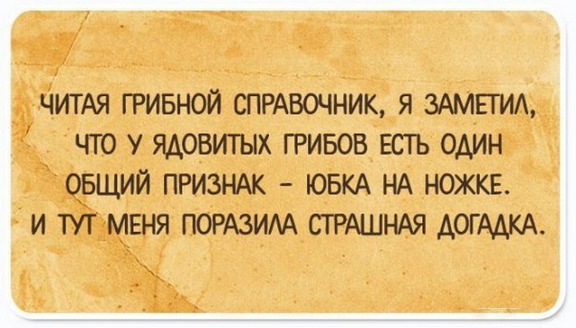 12 доказательств, что сарказм побеждает все!