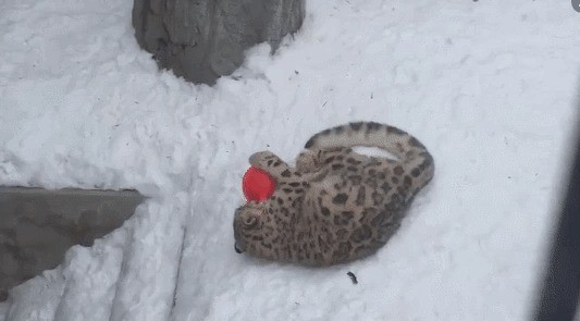Уходи красиво