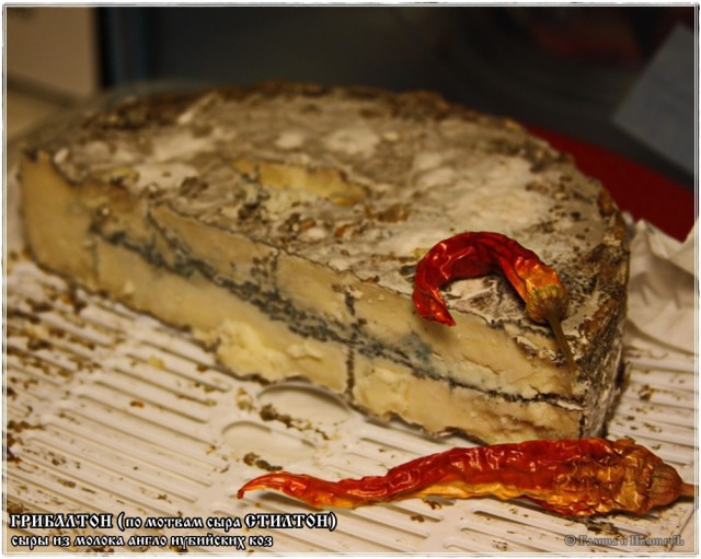 Cыр Рокфор … из молока англо нубийских коз