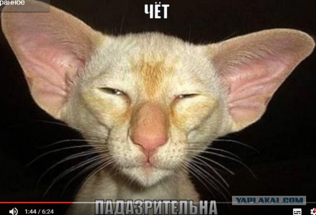 Зенит - Урал  после матча