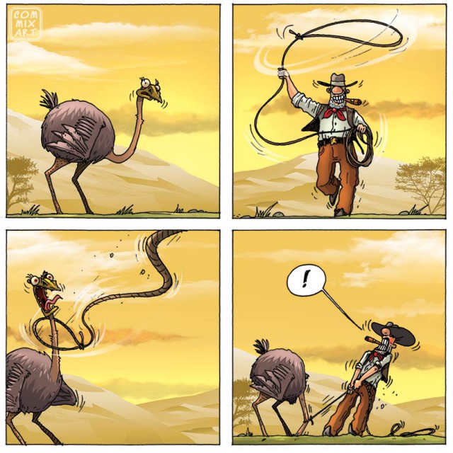 Приключение страуса
