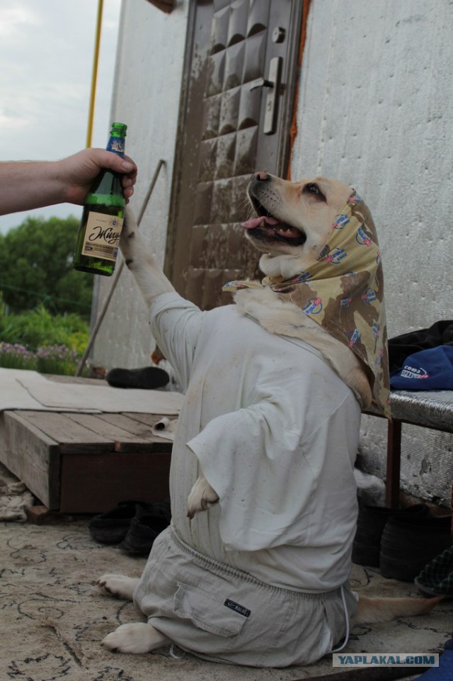 Четверг же! Хвастаемся!