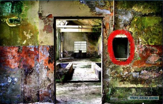 Sssg - Forgotten Asylum