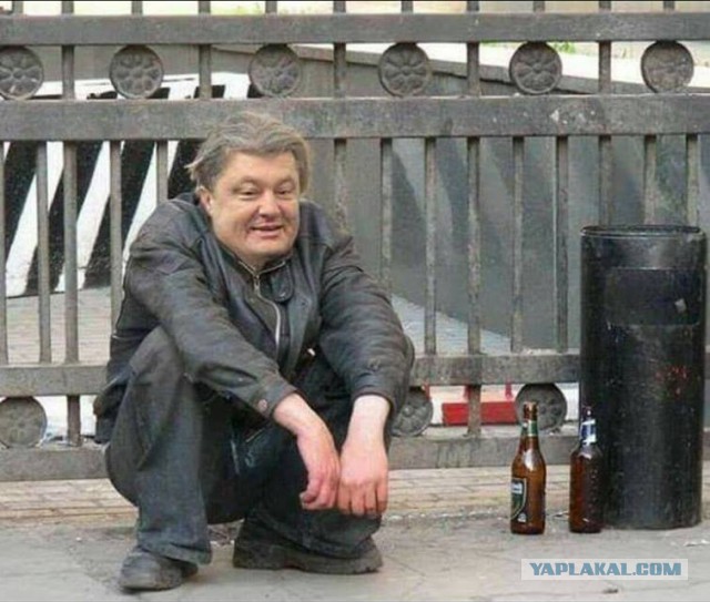 Весна. Фекалии