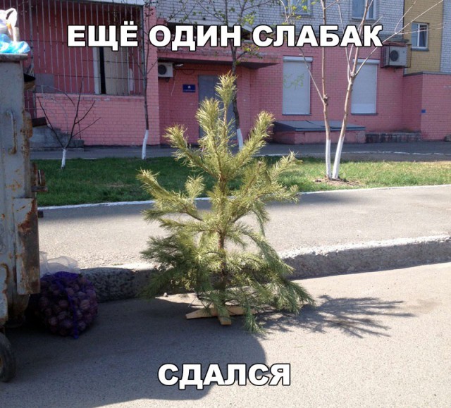Нестандартный юмор