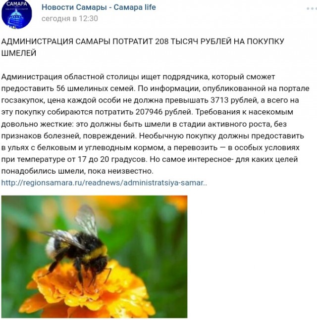 Картинок всяких разных