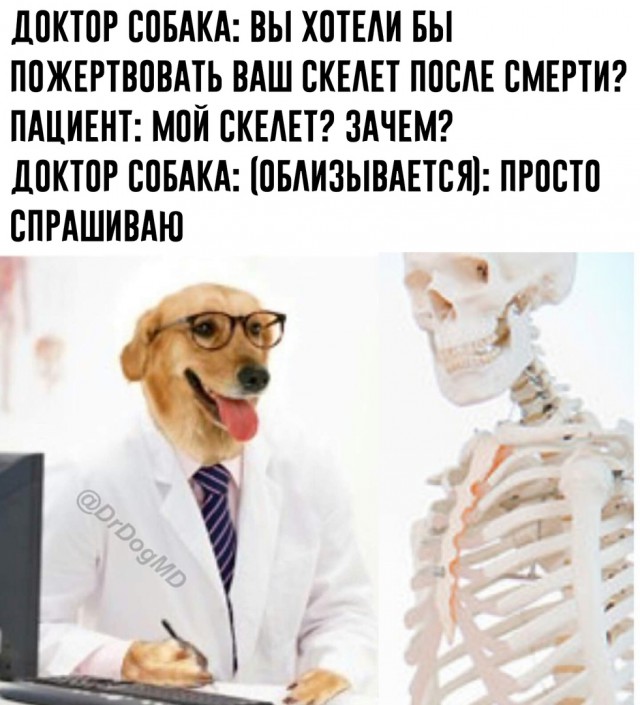 Нестандартный юмор