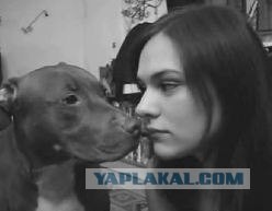 Игра "Язычки"