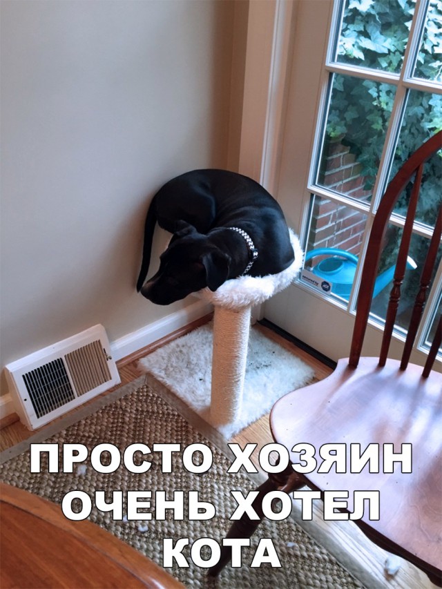Нестандартный юмор