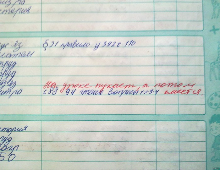 Записи в школьных дневниках и тетрадях