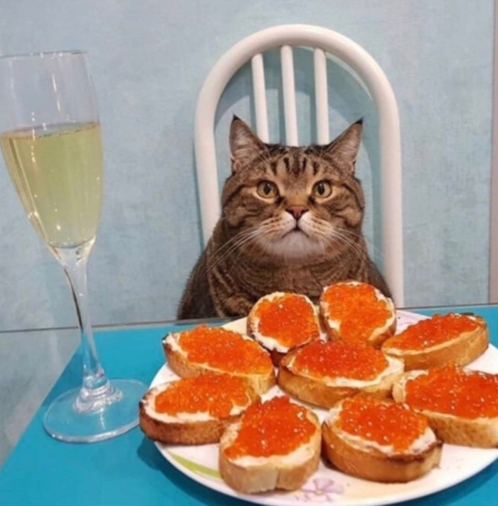 Пьяный арбуз