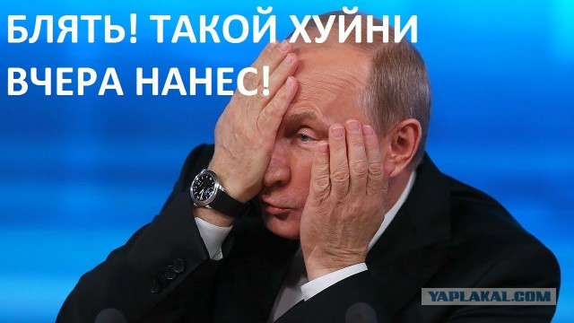 Печенеги, Путин, Плевако и плагиат.
