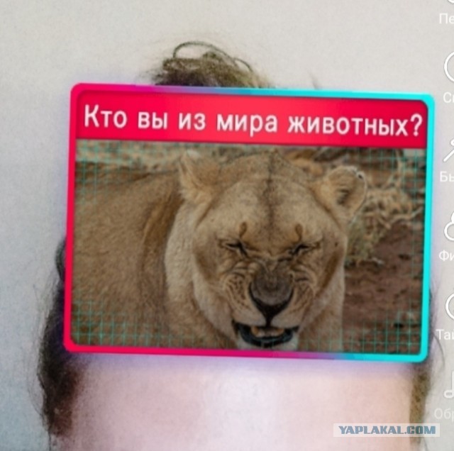 Что получает мужчина в официальном браке?
