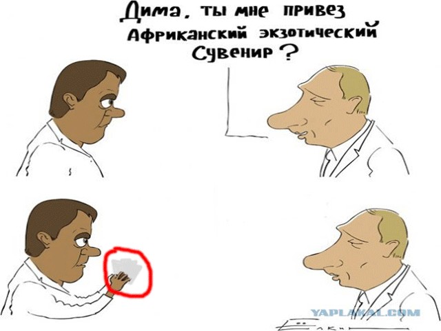 Экзотический сувенир