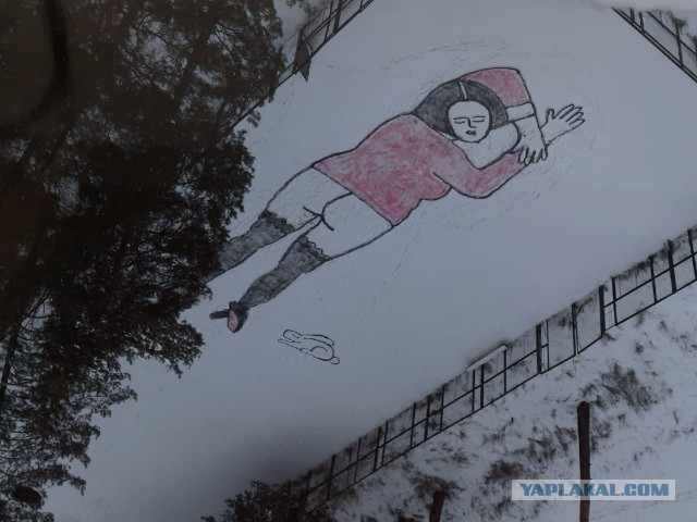 Вот такие «художества» обнаружили на снегу жители Протвино
