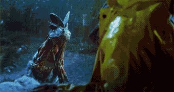 А ну иди сюда! Сюда иди, я сказала!