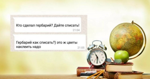 Немного о родительских чатах (в картинках)