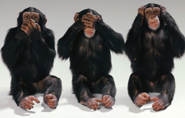 На трассе М4 «Дон» ГИБДД организовала новую "Кущевку"