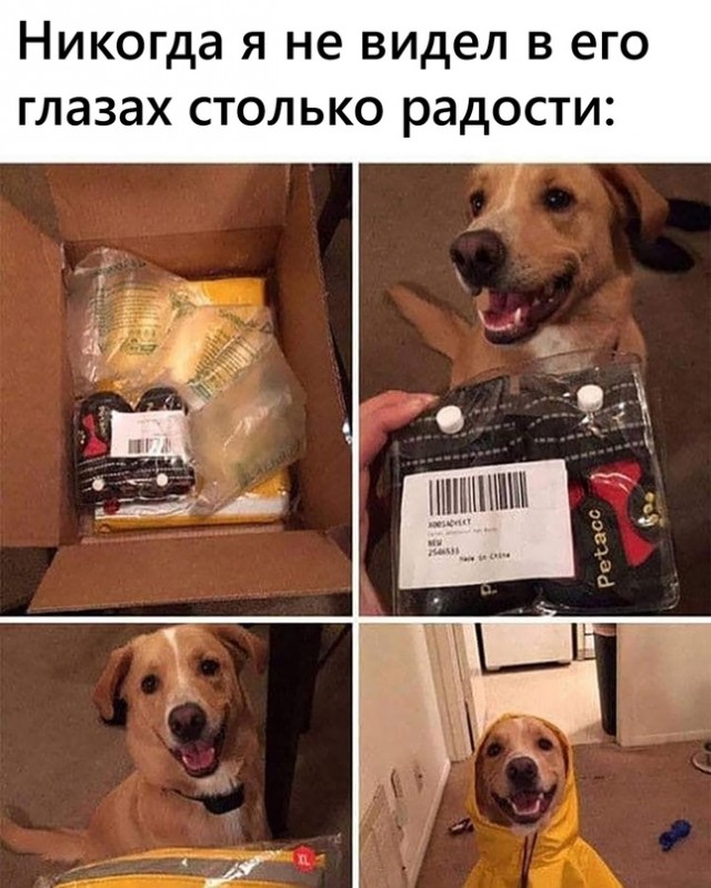 Картинки и мемы для настроения 15.06.2021