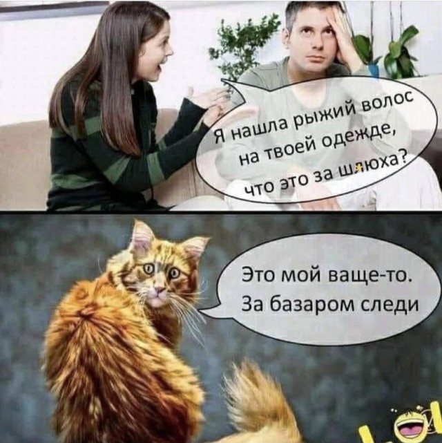 Весёлый полтишок 09.10