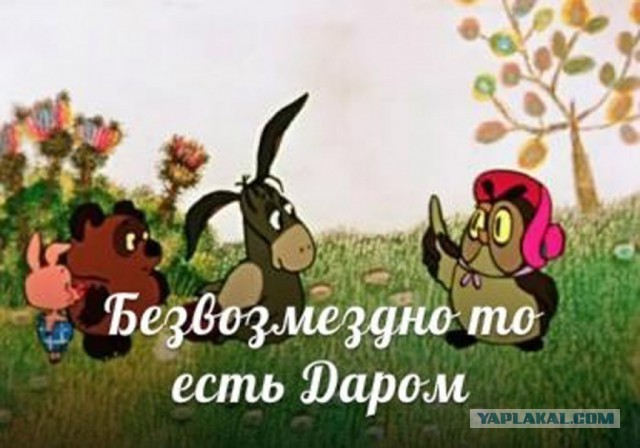 3 мифа, с помощью которых мужчинам внушают, что они должны вкладываться в женщин