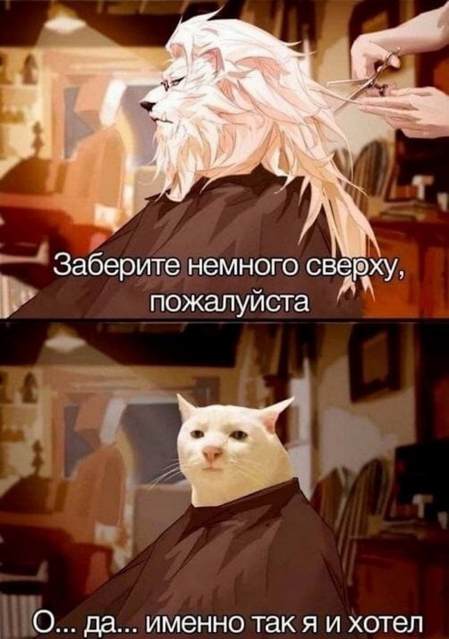 Картинки и мемы для настроения