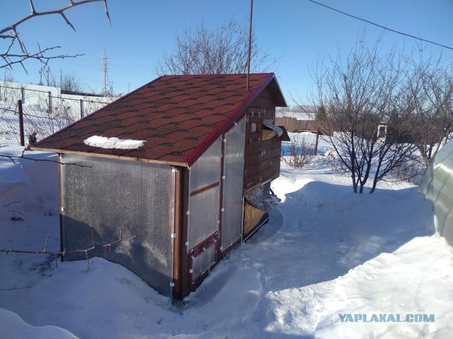 Курятник «ЛЮКС» класса. Работа над ошибками, спустя два года