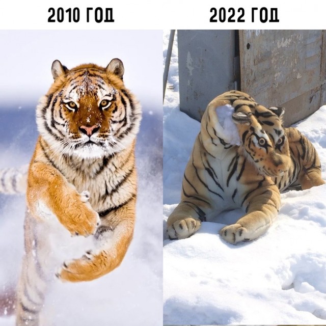 Человек собаке друг и другие картинки под настроение 13.01.2022