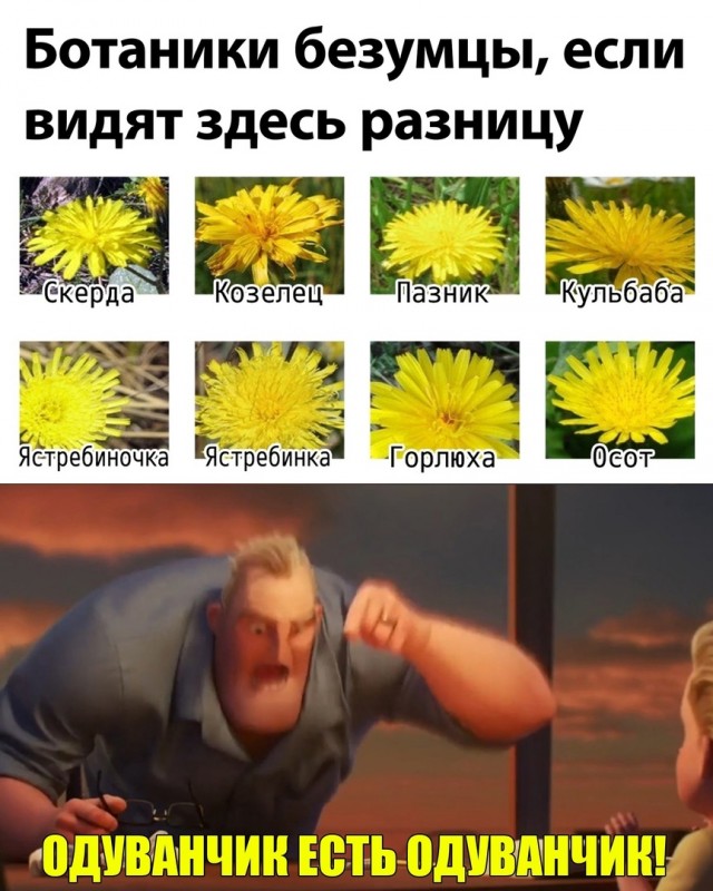 Так себе картинки 09.02.22