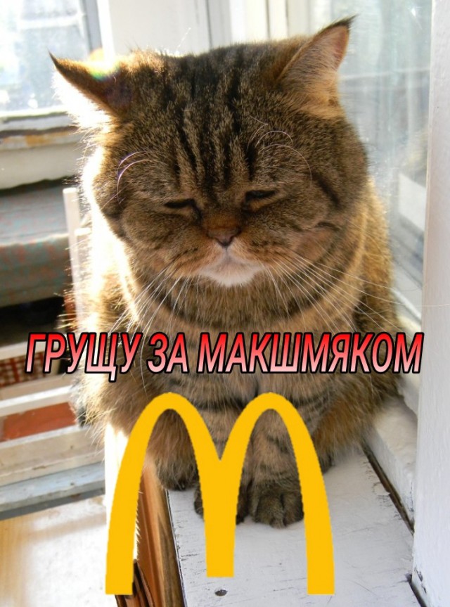 Чем заменить KFC?