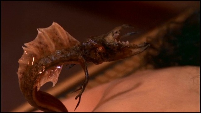 Паразит, дарующий своим  хозяевам «вечную молодость» и многократно удлиняющий срок их жизни