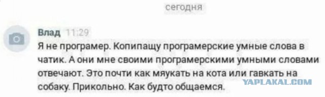 Отзывы, объявления, переписки
