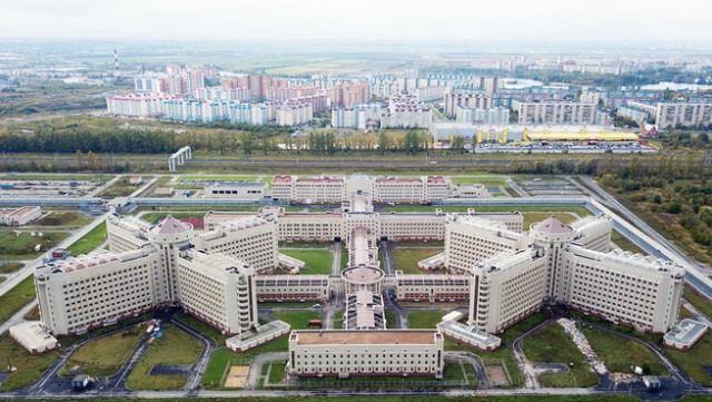 Тюремные коты
