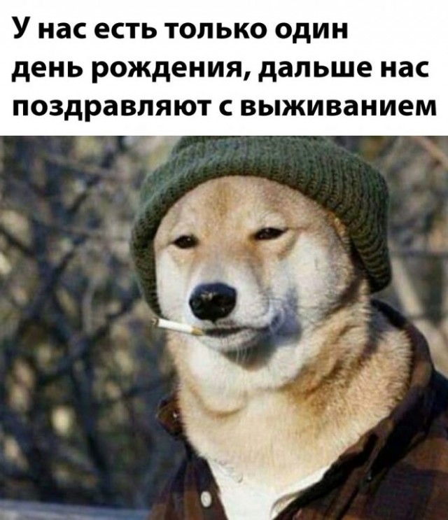 Забавные комментарии из Сети 19.06.22