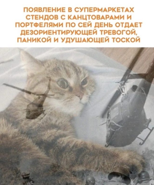 Картинки и мемы для настроения - 11