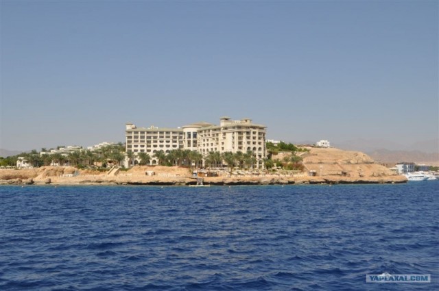 Как я ездил в Египет