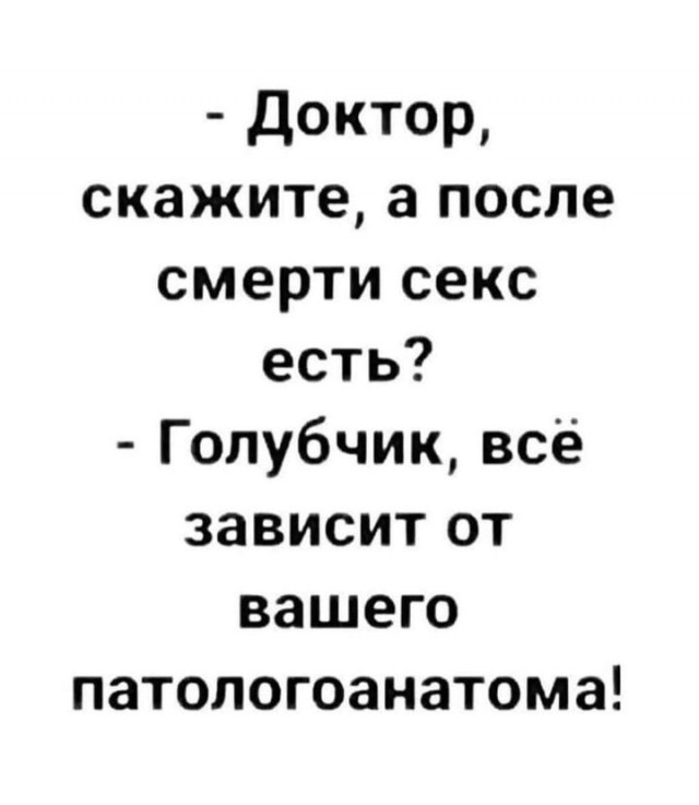 Весёлый полтишок 08.11.22